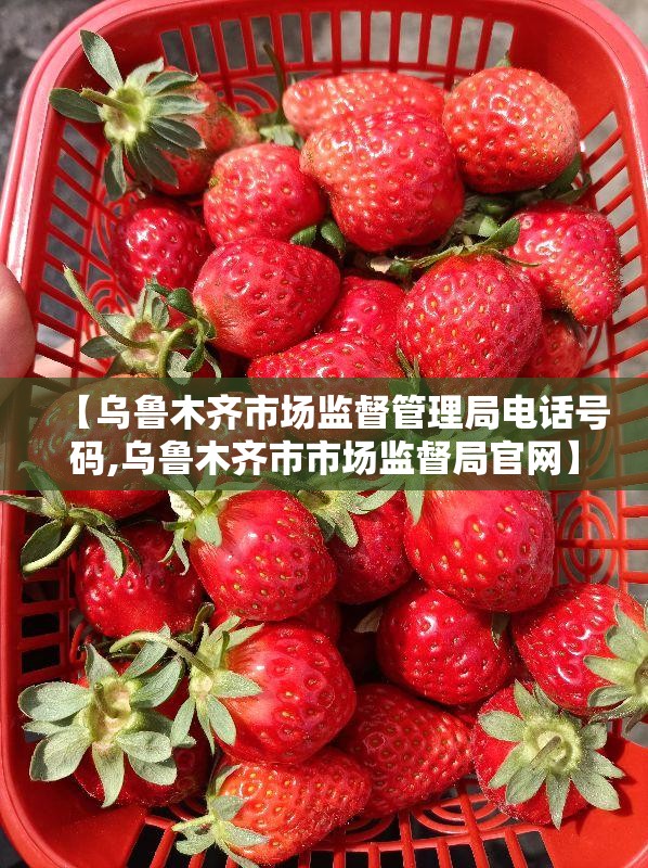 【乌鲁木齐市场监督管理局电话号码,乌鲁木齐市市场监督局官网】