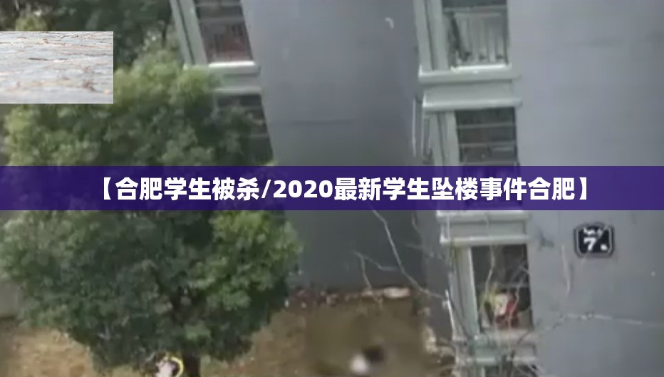 【合肥学生被杀/2020最新学生坠楼事件合肥】