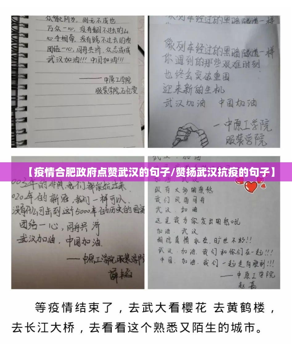 【疫情合肥政府点赞武汉的句子/赞扬武汉抗疫的句子】