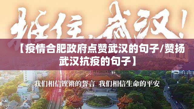 【疫情合肥政府点赞武汉的句子/赞扬武汉抗疫的句子】