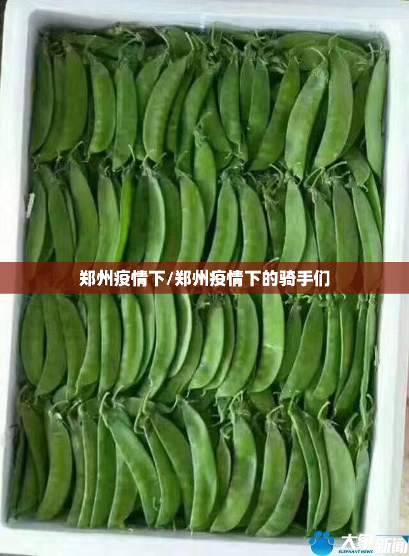 郑州疫情下/郑州疫情下的骑手们