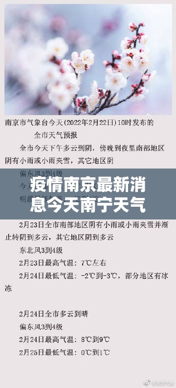 疫情南京最新消息今天南宁天气（疫情最新消息新闻南京今天）
