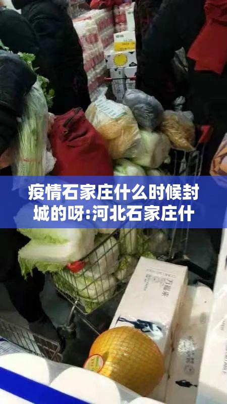 疫情石家庄什么时候封城的呀:河北石家庄什么时候封的城