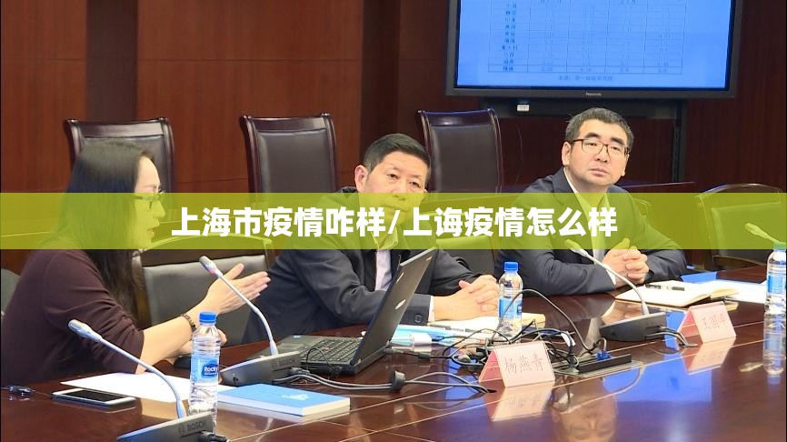 上海市疫情咋样/上诲疫情怎么样