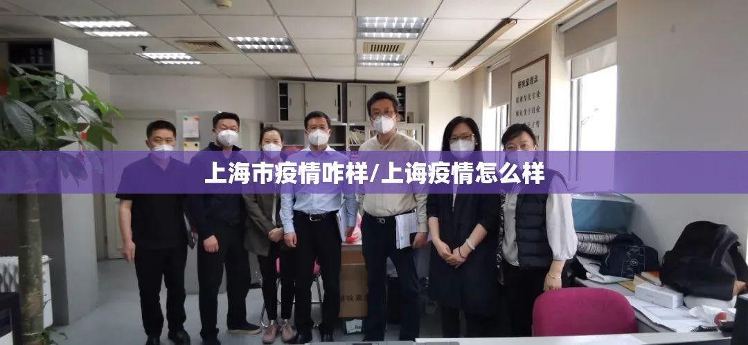 上海市疫情咋样/上诲疫情怎么样