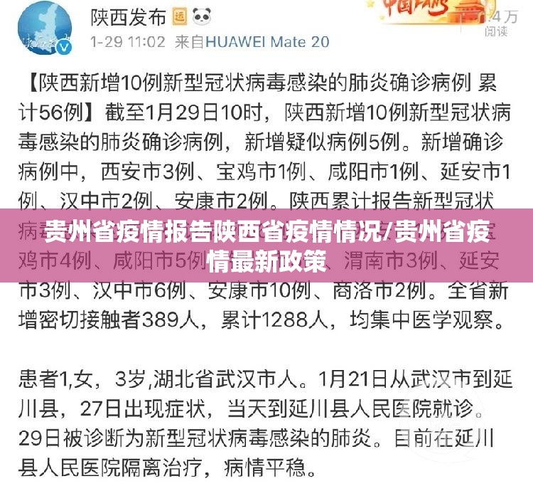 贵州省疫情报告陕西省疫情情况/贵州省疫情最新政策