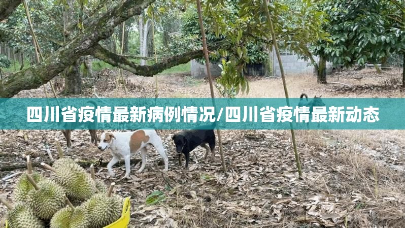 四川省疫情最新病例情况/四川省疫情最新动态