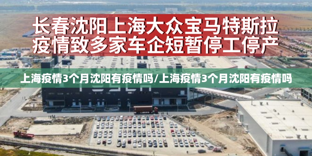 上海疫情3个月沈阳有疫情吗/上海疫情3个月沈阳有疫情吗