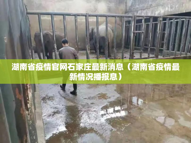 湖南省疫情官网石家庄最新消息（湖南省疫情最新情况播报息）
