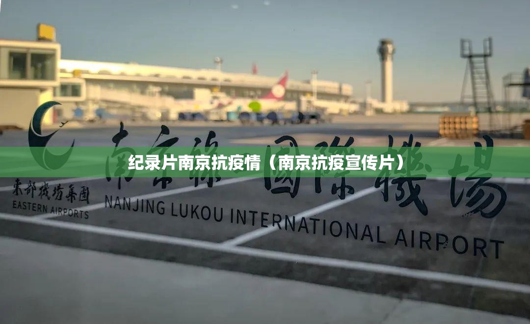 纪录片南京抗疫情（南京抗疫宣传片）