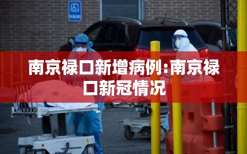 南京禄口新增病例:南京禄口新冠情况