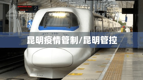 昆明疫情管制/昆明管控