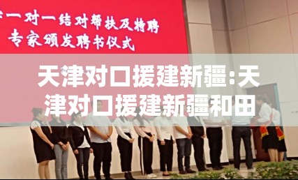 天津对口援建新疆:天津对口援建新疆和田