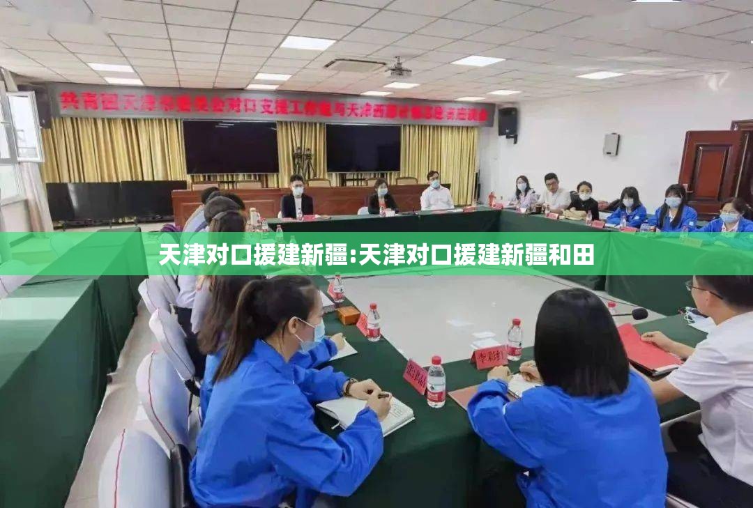 天津对口援建新疆:天津对口援建新疆和田