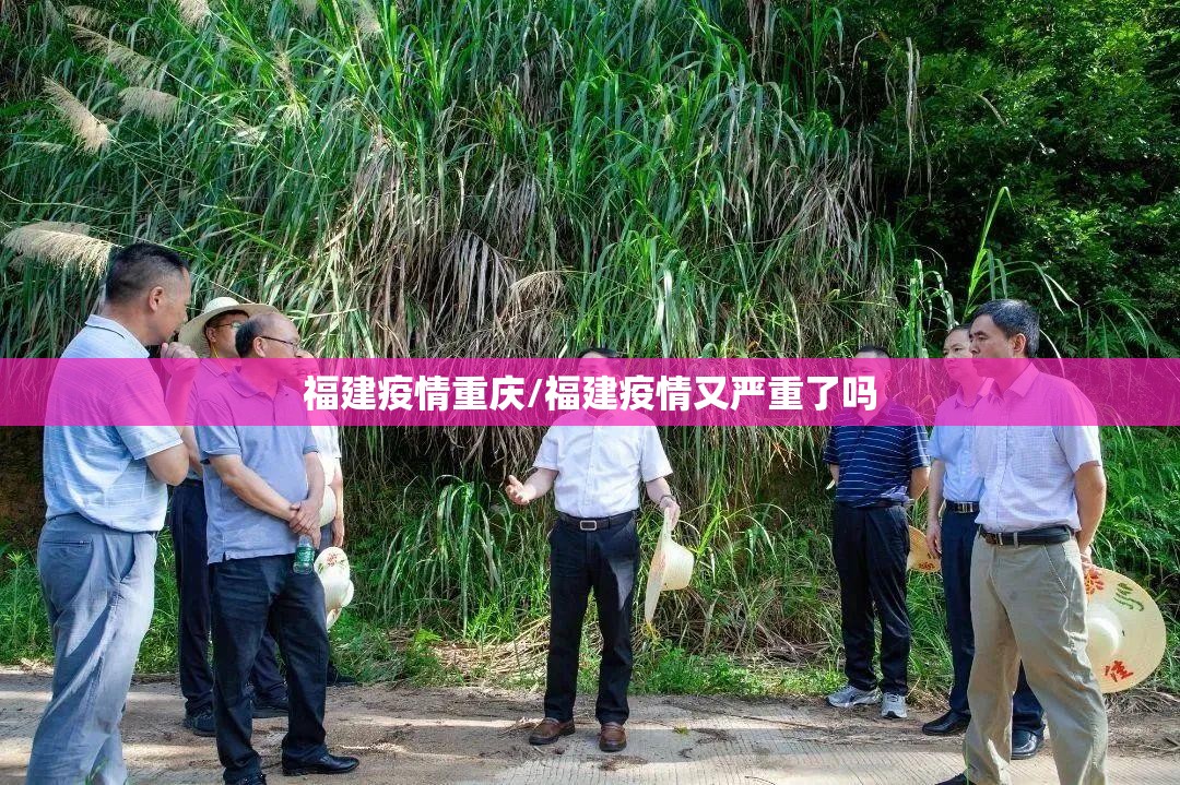 福建疫情重庆/福建疫情又严重了吗