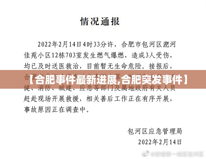 【合肥事件最新进展,合肥突发事件】