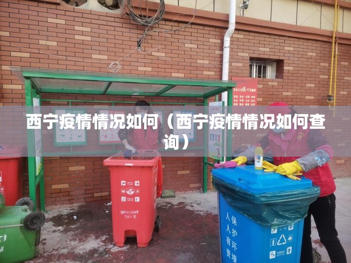 西宁疫情情况如何（西宁疫情情况如何查询）