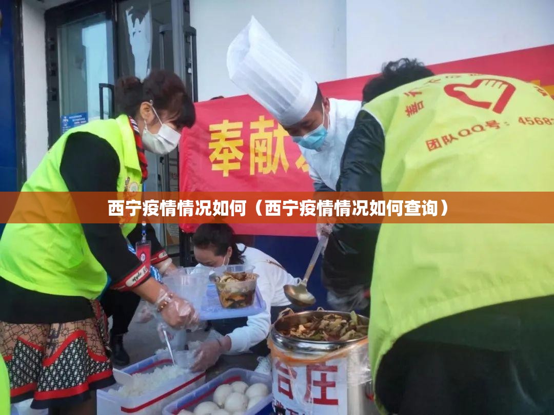 西宁疫情情况如何（西宁疫情情况如何查询）