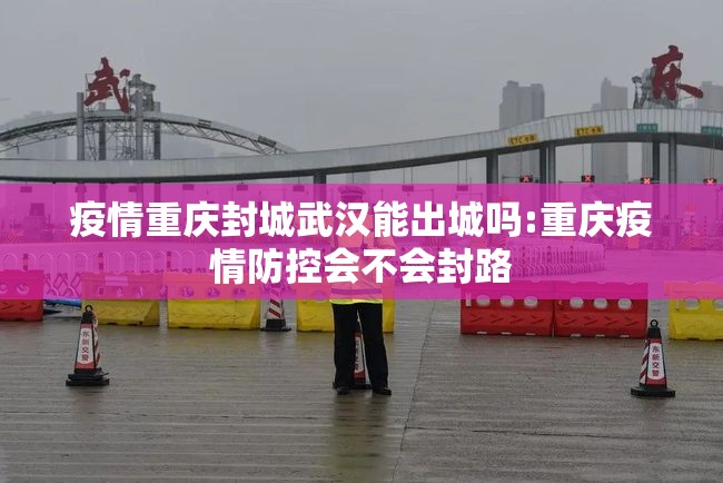 疫情重庆封城武汉能出城吗:重庆疫情防控会不会封路