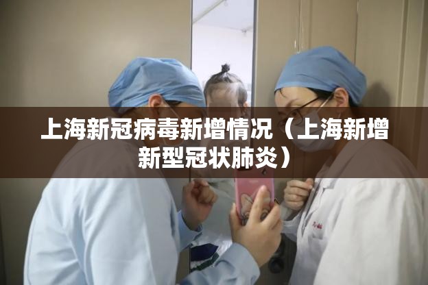 上海新冠病毒新增情况（上海新增新型冠状肺炎）
