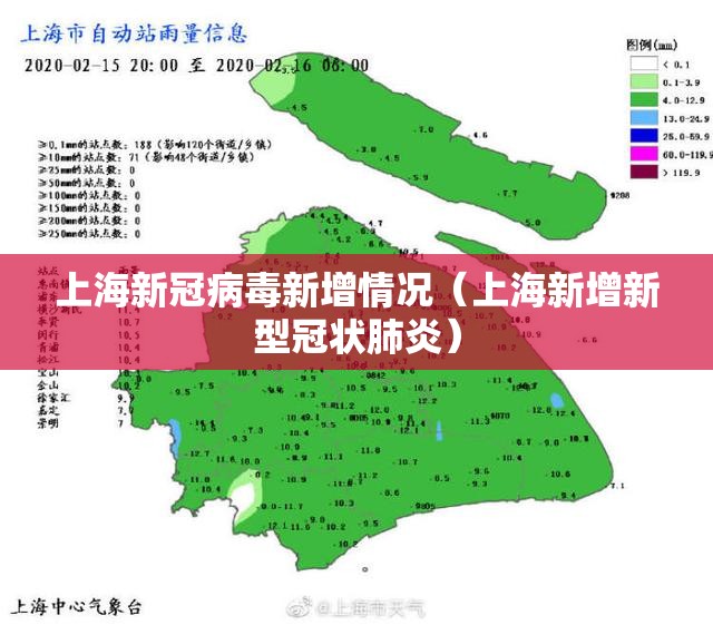 上海新冠病毒新增情况（上海新增新型冠状肺炎）