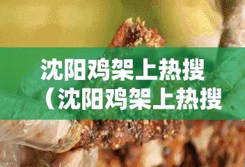 沈阳鸡架上热搜（沈阳鸡架上热搜了）