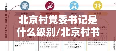 北京村党委书记是什么级别/北京村书记工资标准多少