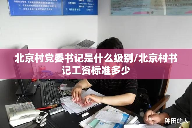 北京村党委书记是什么级别/北京村书记工资标准多少