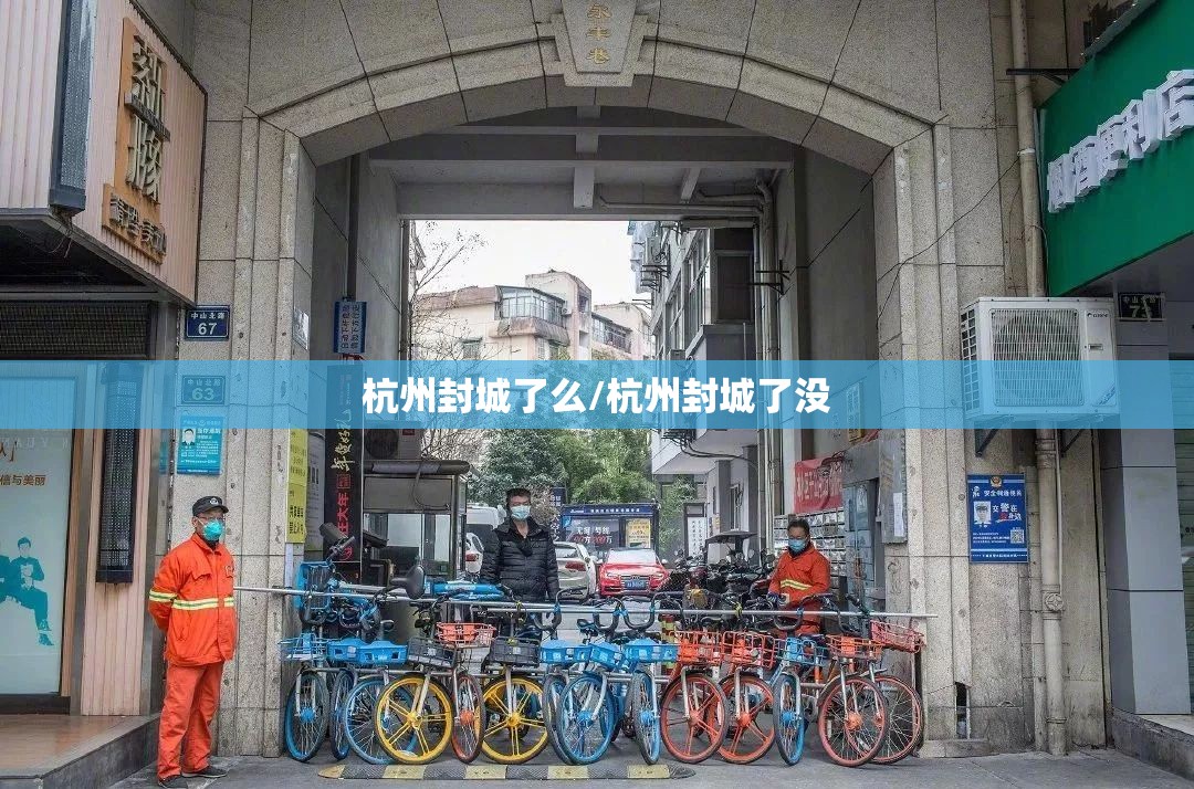 杭州封城了么/杭州封城了没