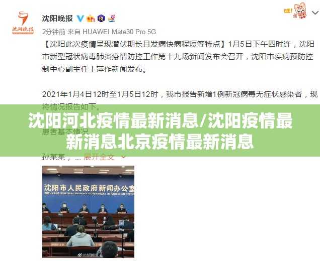 沈阳河北疫情最新消息/沈阳疫情最新消息北京疫情最新消息