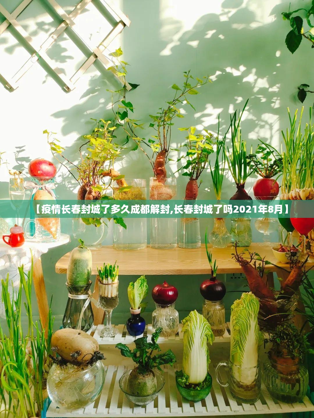 【疫情长春封城了多久成都解封,长春封城了吗2021年8月】