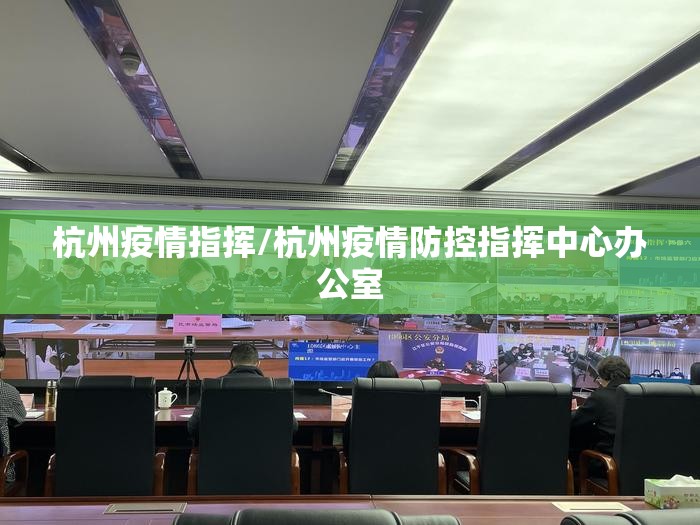 杭州疫情指挥/杭州疫情防控指挥中心办公室