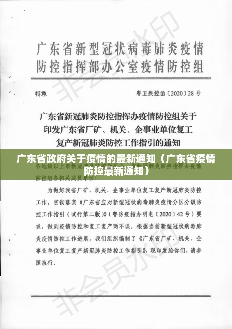 广东省政府关于疫情的最新通知（广东省疫情防控最新通知）