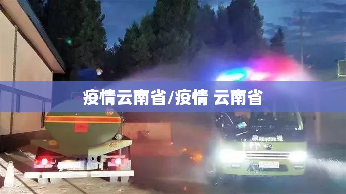 疫情云南省/疫情 云南省