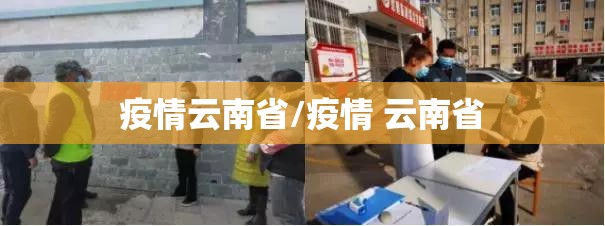 疫情云南省/疫情 云南省
