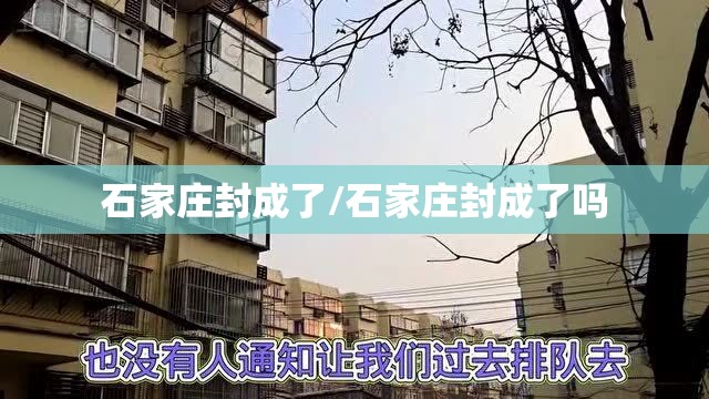 石家庄封成了/石家庄封成了吗