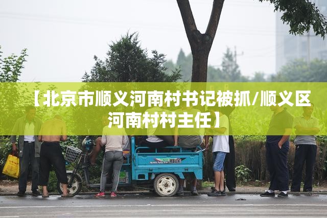 【北京市顺义河南村书记被抓/顺义区河南村村主任】