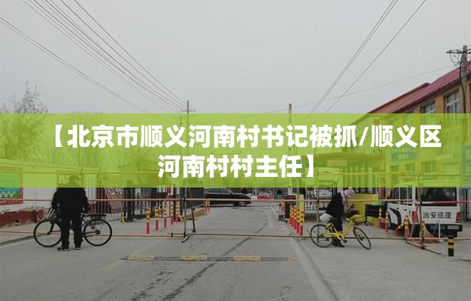 【北京市顺义河南村书记被抓/顺义区河南村村主任】