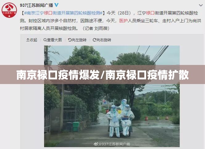 南京禄口疫情爆发/南京禄口疫情扩散