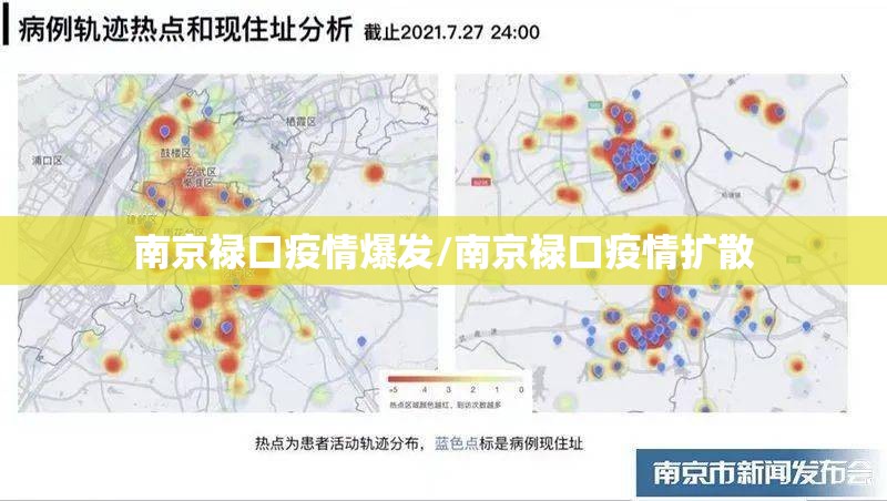 南京禄口疫情爆发/南京禄口疫情扩散