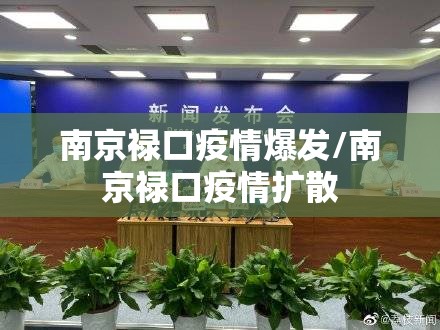 南京禄口疫情爆发/南京禄口疫情扩散