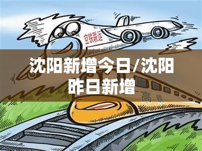 沈阳新增今日/沈阳昨日新增