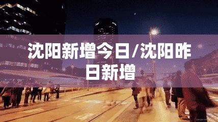 沈阳新增今日/沈阳昨日新增
