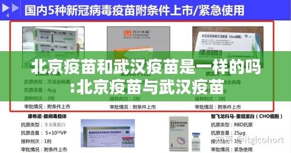 北京疫苗和武汉疫苗是一样的吗:北京疫苗与武汉疫苗