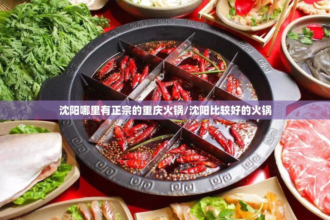 沈阳哪里有正宗的重庆火锅/沈阳比较好的火锅