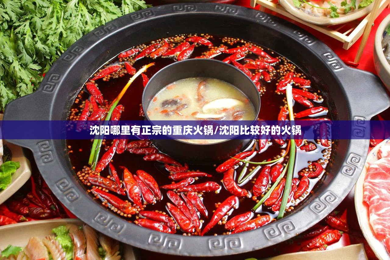 沈阳哪里有正宗的重庆火锅/沈阳比较好的火锅