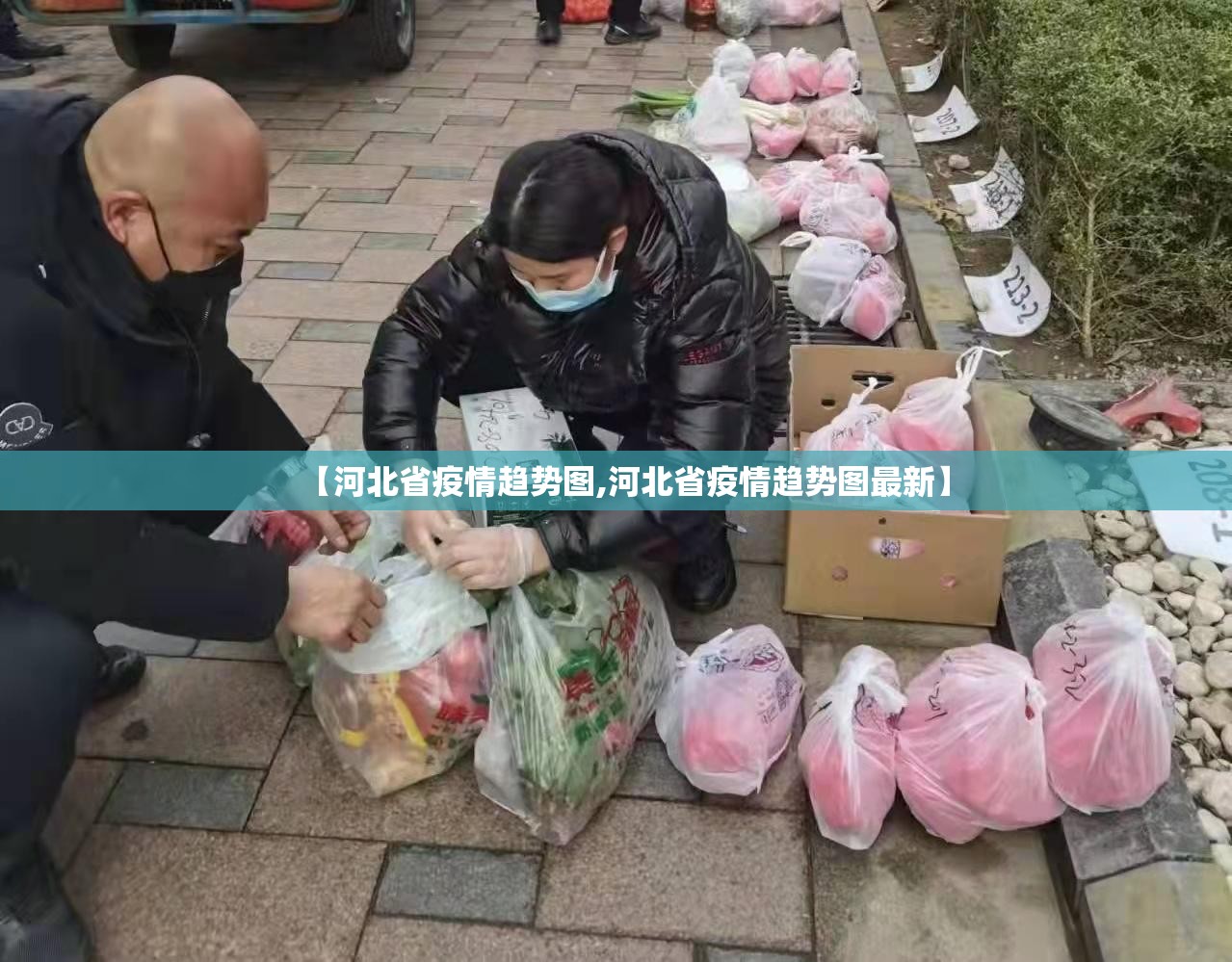 【河北省疫情趋势图,河北省疫情趋势图最新】