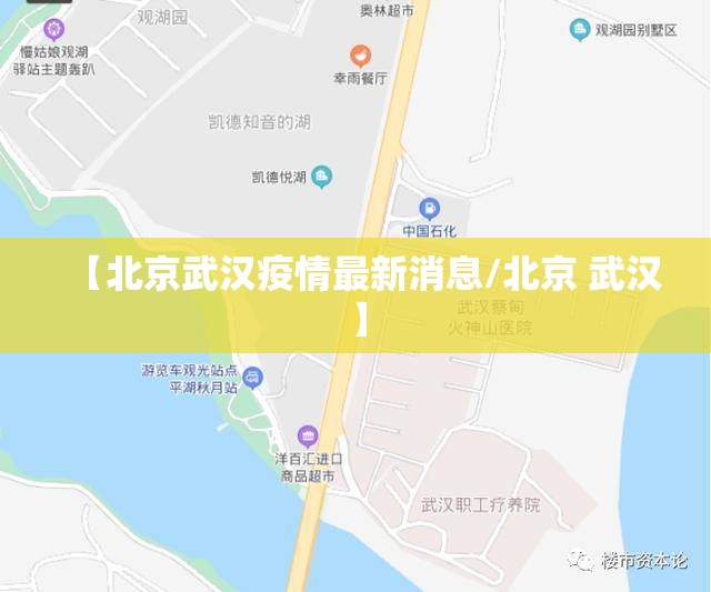 【北京武汉疫情最新消息/北京 武汉】