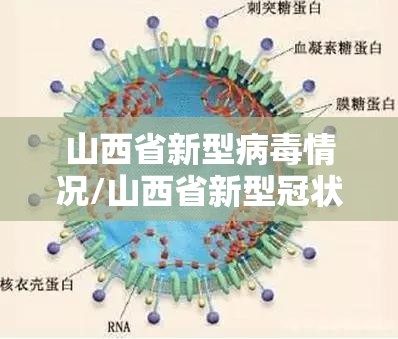 山西省新型病毒情况/山西省新型冠状病毒疫情报告