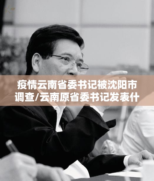 疫情云南省委书记被沈阳市调查/云南原省委书记发表什么言论